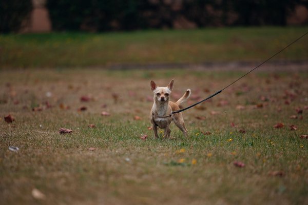 Kreative Strategien zur Förderung der psychischen Gesundheit am Arbeitsplatz: Ein Leitfaden zur Programmgestaltung